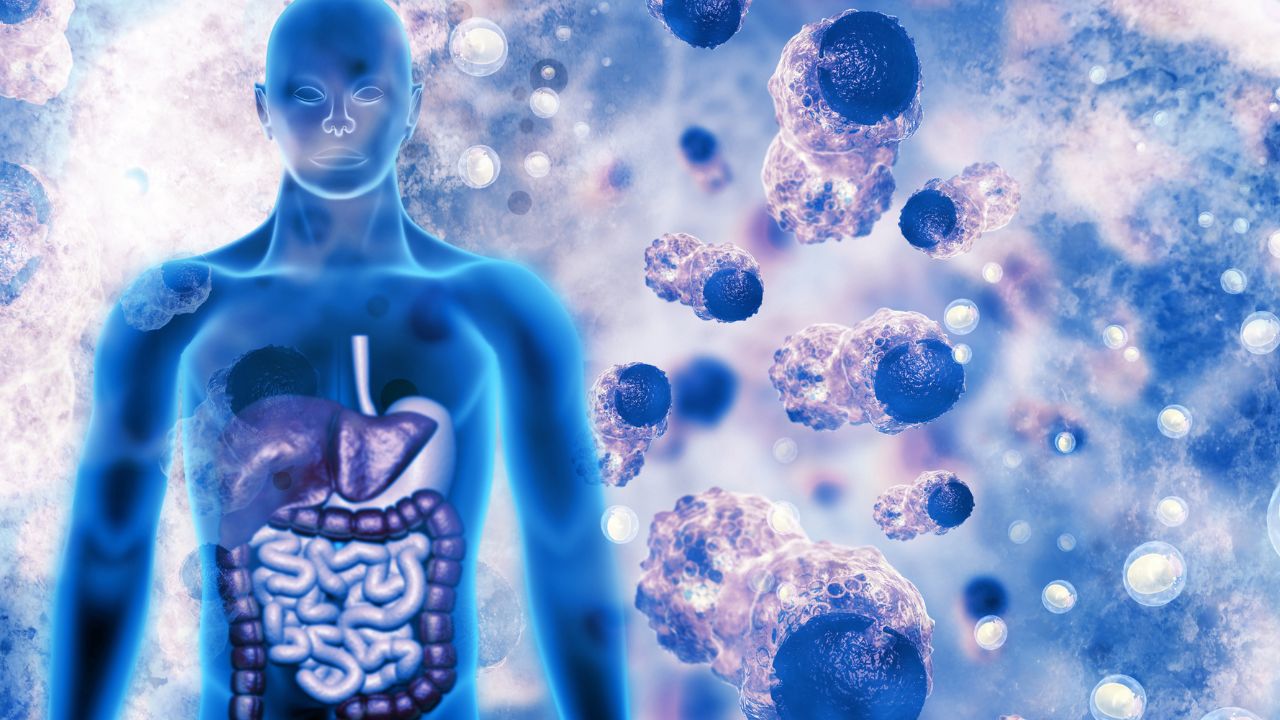 xr:d:DAGALAKFsLo:10,j:8335459423591662019,t:24032122